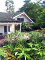 Kauai cottage